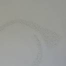 4x4_derkreis schliesst sich.jpg